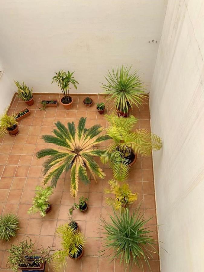 Apartamento En El Centro, Tranquilo Y Luminoso Málaga Eksteriør billede